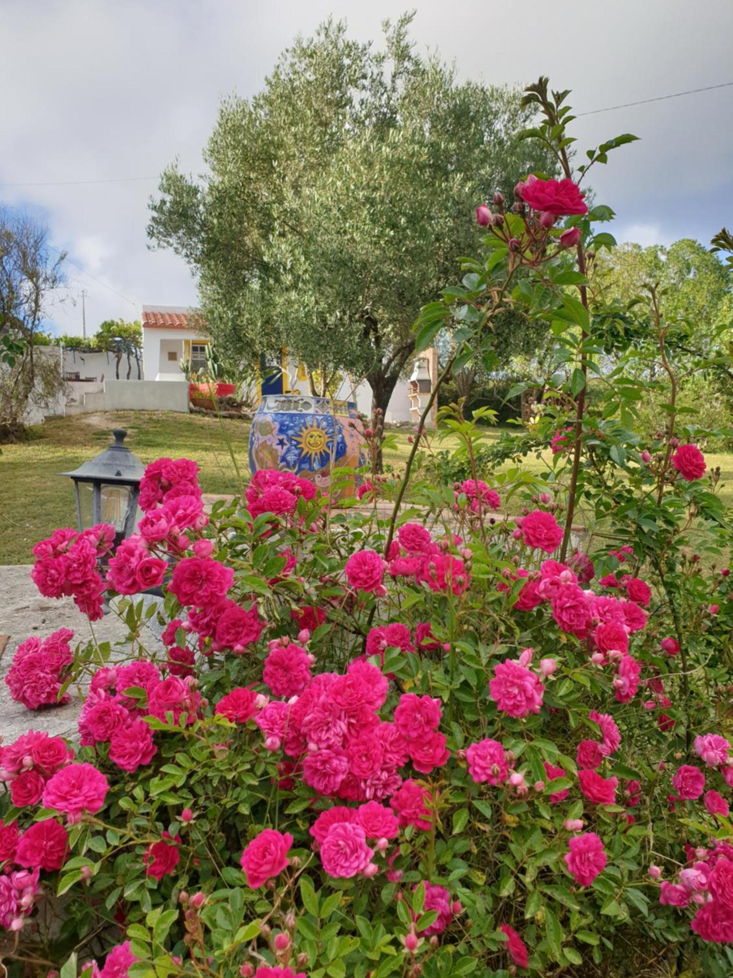Sondela Self Catering Villa Sao Martinho do Porto Exterior photo